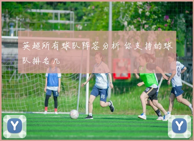 英超所有球队阵容分析 你支持的球队排名几